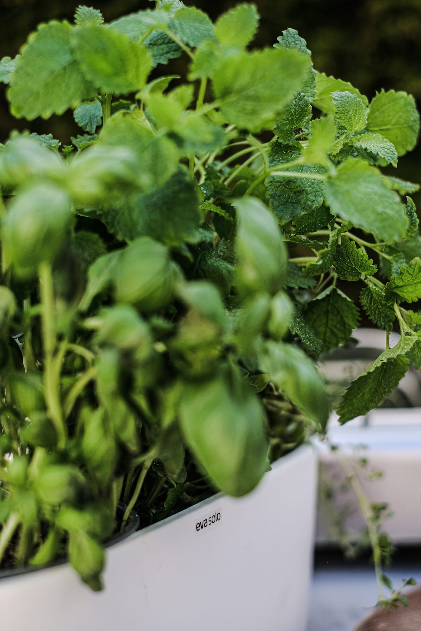 Urtepotte fra Eva Solo