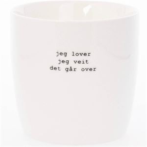 Søgne Home Krus jeg lover - jeg veit 30 cl