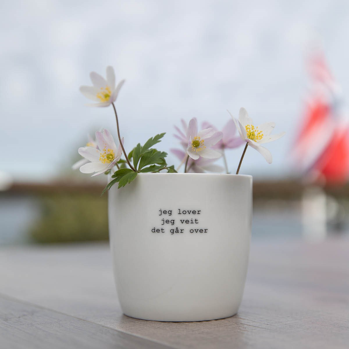 Søgne Home Krus jeg lover - jeg veit 30 cl